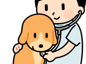 ペットの健康診断はとっても大切！受けさせていますか？